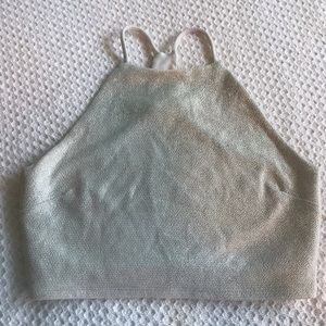 Shimmery Silver-Gold Crop Top